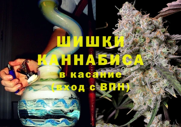 ПСИЛОЦИБИНОВЫЕ ГРИБЫ Липки